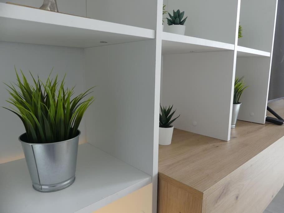 19 Piso Centrico, Nuevo Y Bien Equipado En La Trinidad Apartment La Laguna  Luaran gambar